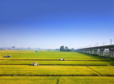高標準農田建設